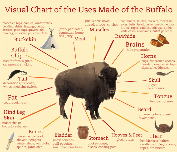 Native American Sign Language Chart