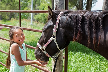 Equine Therapy: A Story of Connection that Goes Beyond Comprehension